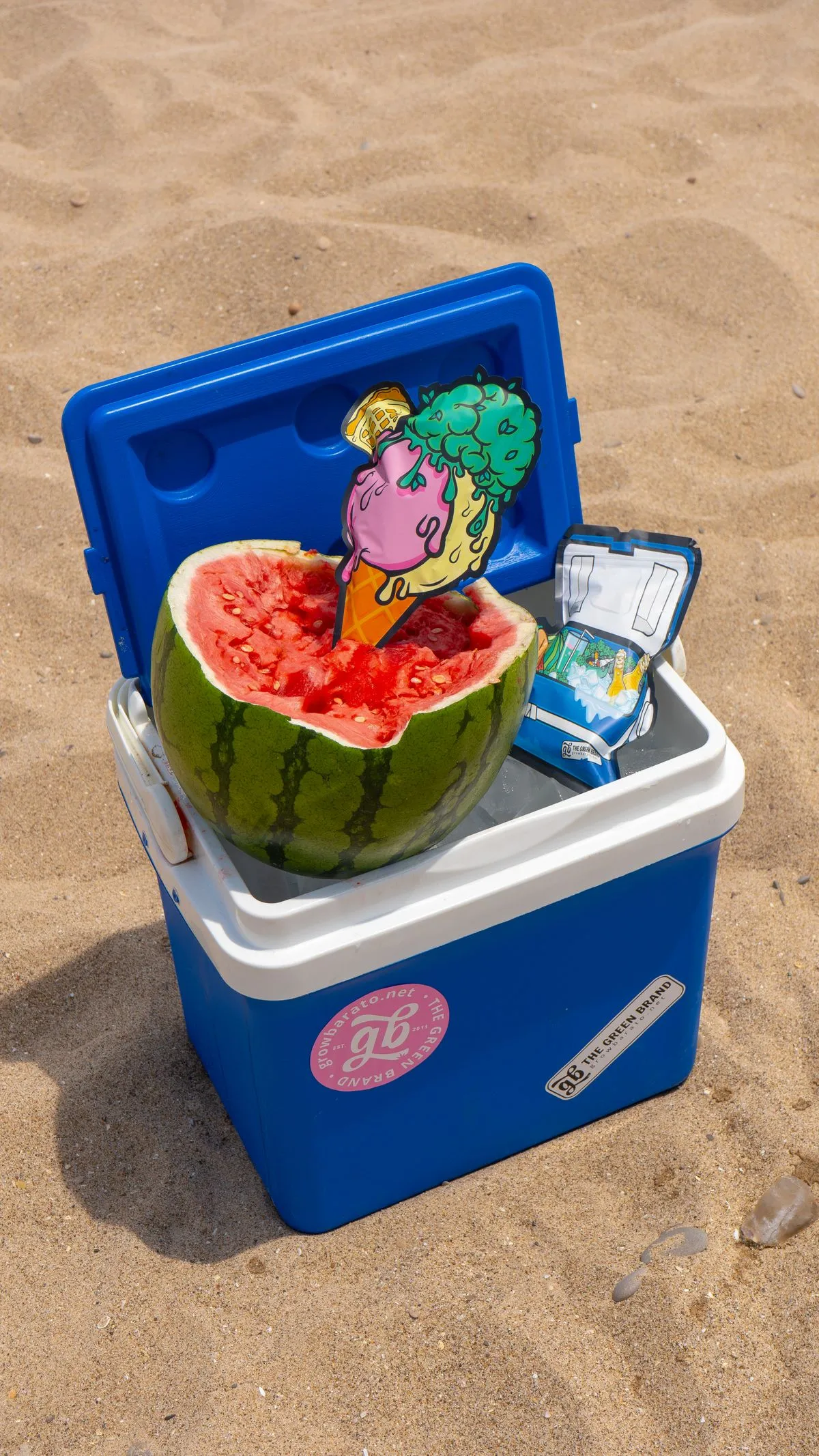Kühlbox mit Obst und Kühlakku